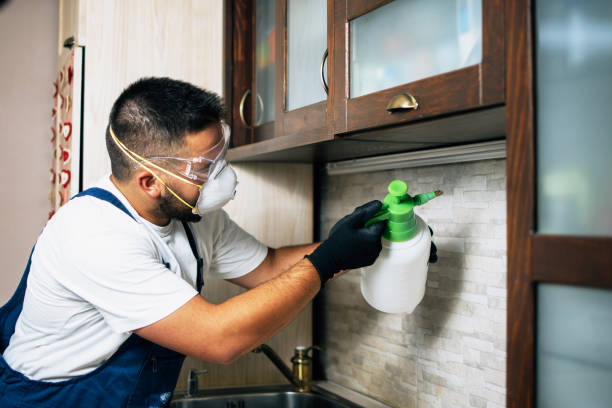 Best Ant Control Services  in Inverness, CA