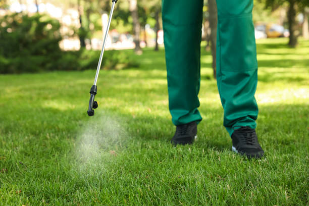 Best Termite Control Services  in Inverness, CA