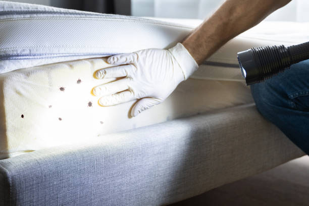  Inverness, CA Pest Control Pros