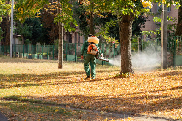 Pest Control for Restaurants in Inverness, CA